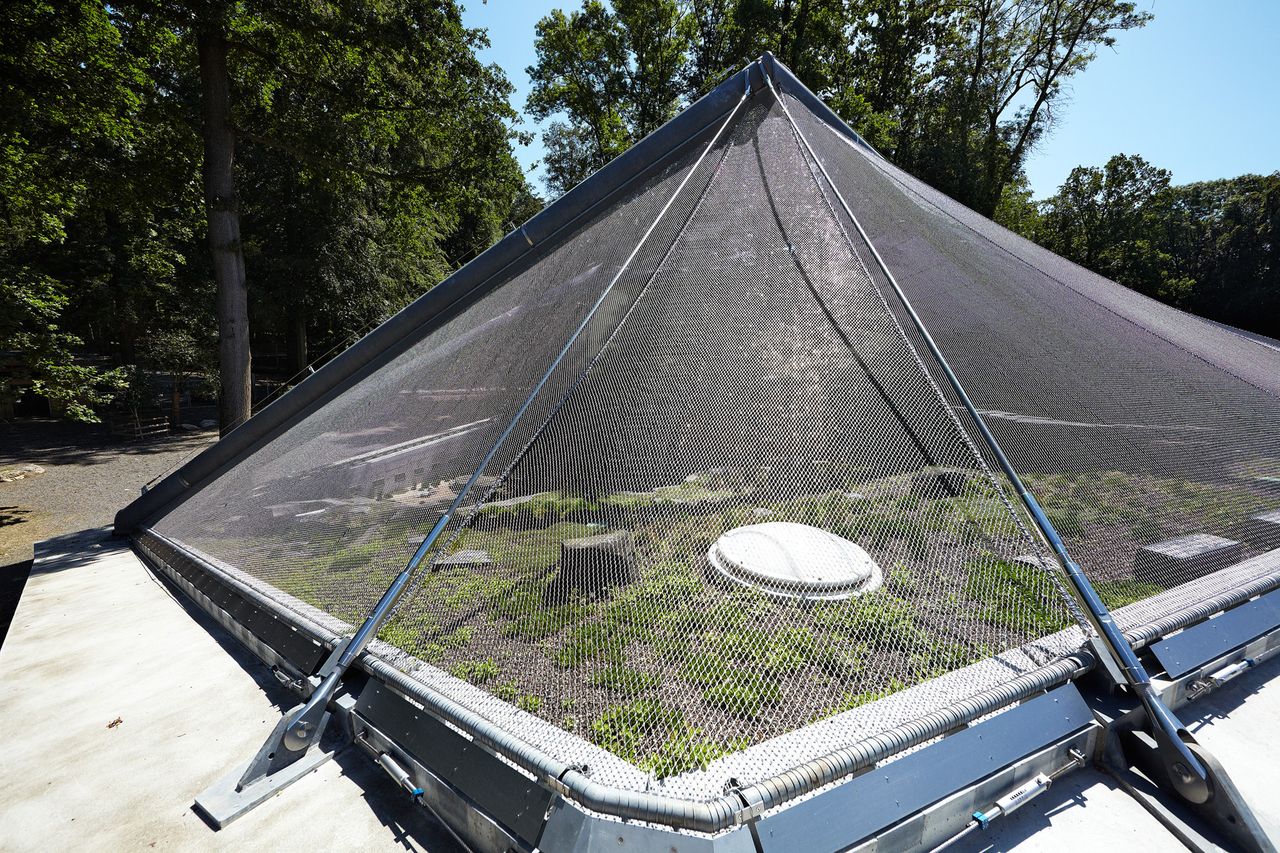 不銹鋼繩網防墜網的優(yōu)點